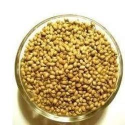 Dhaniya Powder